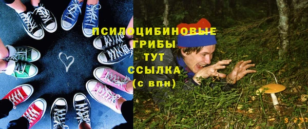дживик Новодвинск