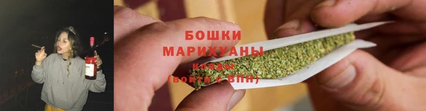 мдпв Новозыбков