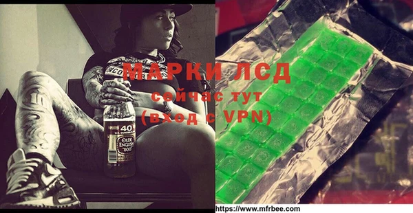 spice Аркадак