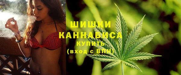spice Аркадак