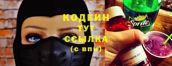 мдпв Новозыбков